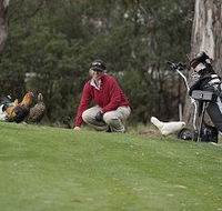Tasmania Golf Club - The - Accommodation Daintree