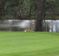 Hepburn Springs Golf Club - Accommodation Daintree