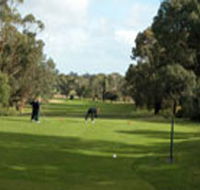 Mount Gambier Golf Club - Accommodation Daintree