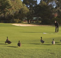 Royal Hobart Golf Club - Accommodation Daintree