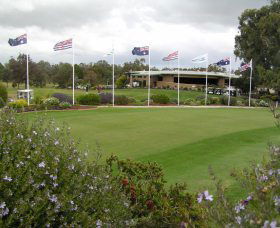 Tocumwal NSW Accommodation Daintree