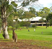 Pambula Merimbula Golf Club - Accommodation Daintree