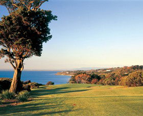 Mornington VIC Accommodation Daintree