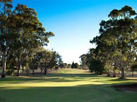 Loxton SA Accommodation Daintree