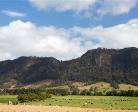 Wards River NSW Accommodation Daintree