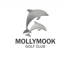 Mollymook NSW Accommodation Daintree