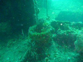 Wallaroo Scuba Club - Accommodation Daintree 0