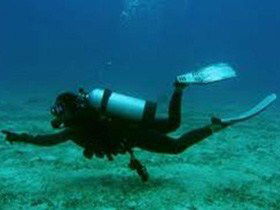 Wallaroo Scuba Club - Accommodation Daintree 1