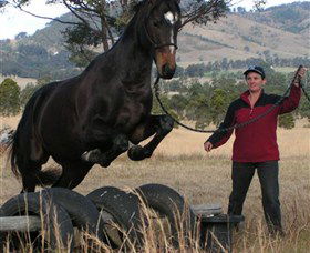 Kings Creek Saddle Club - Accommodation Daintree 5
