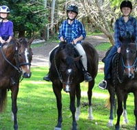 Kings Creek Saddle Club - Accommodation Daintree