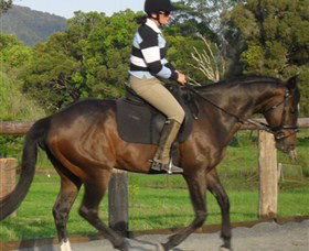 Kings Creek Saddle Club - Accommodation Daintree 6