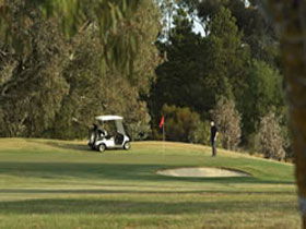 Barossa Valley Golf Club Incorporated - Accommodation Daintree 0