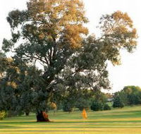Cowra Golf Club - Accommodation Daintree