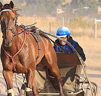 Ballarat  District Trotting Club - Accommodation Daintree