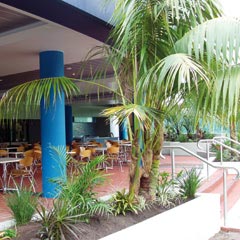 Forster NSW Accommodation Daintree