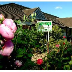 Leura NSW Accommodation Daintree