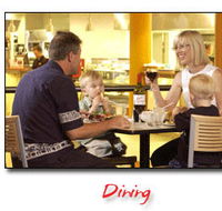 Steelers Club - Accommodation Daintree