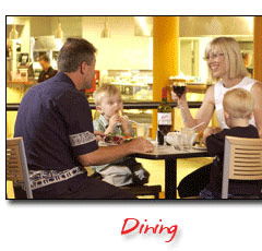 Steelers Club - Accommodation Daintree 0