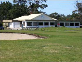 Wynyard TAS Accommodation Daintree