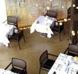 Flying Fish Bar - Accommodation Daintree