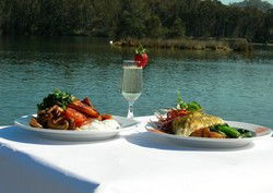 Blowfish Cafe - Accommodation Daintree 1