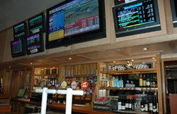 Buena Vista Hotel - Accommodation Daintree 2