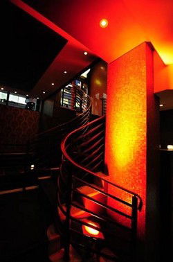 Bar Europa - Accommodation Daintree 3