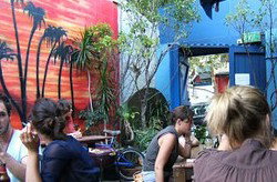Cafe Lounge - Accommodation Daintree 3