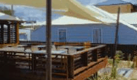 Seagrass Brasserie - Accommodation Daintree