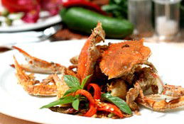 Capital Thai - Accommodation Daintree 3