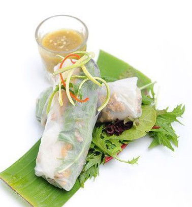 Chilli Cha Cha - Accommodation Daintree 2