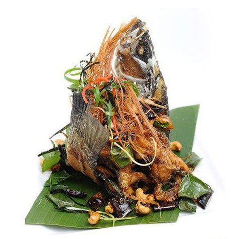 Chilli Cha Cha - Accommodation Daintree 3