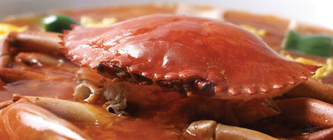 The Eight Modern Chinese Restaurant - Accommodation Daintree 1