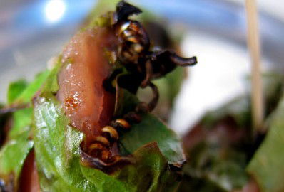 Xage Vietnamese - Accommodation Daintree 2