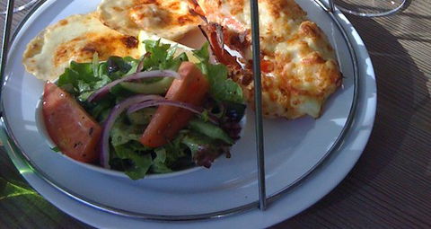 Barramundi - Accommodation Daintree 1