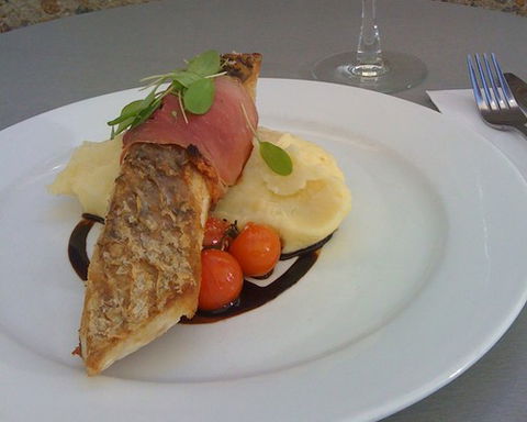 Barramundi - Accommodation Daintree 2