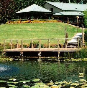 Cedar Creek Estate Vineyard & Winery Restaurant - Accommodation Daintree 0
