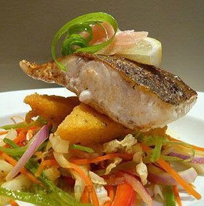 Advancetown QLD Accommodation Daintree