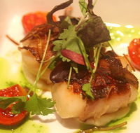 Sealevel Restaurant - Accommodation Daintree