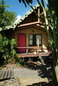 Magnum's Backpackers Bar - Accommodation Daintree 0