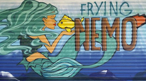Frying Nemo - Accommodation Daintree 3