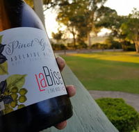 Zesty Edibles - Accommodation Daintree