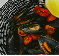 The Italian Diner - Accommodation Daintree