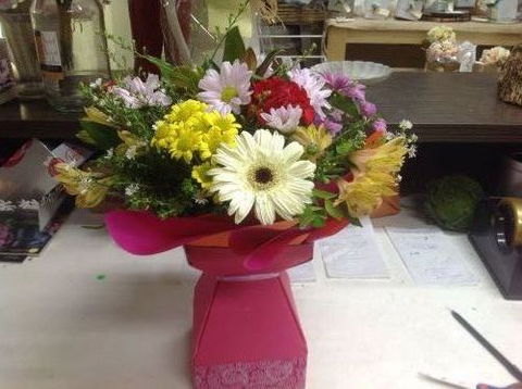 Fiori With Love - Accommodation Daintree 0