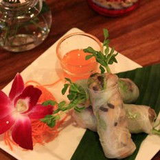 Star Of Thailand - Accommodation Daintree 2