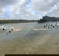 Batemans Bay Triathlon Festival - Accommodation Daintree