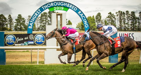 Bathurst Cup - Accommodation Daintree 0