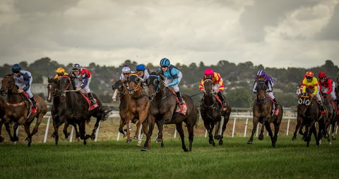 Bathurst Cup - Accommodation Daintree 1