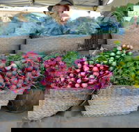 Berry Farmers' Market - Accommodation Daintree