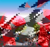 Blacktown Christmas Light Up Concert - Accommodation Daintree